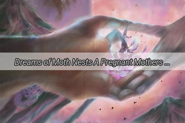 Dreams of Moth Nests A Pregnant Mothers Intriguing Journey Through the Symbolism of Insect Imagery